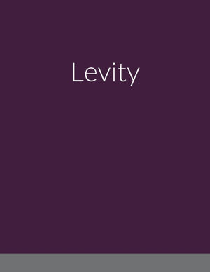 Levity, by Todd Baker